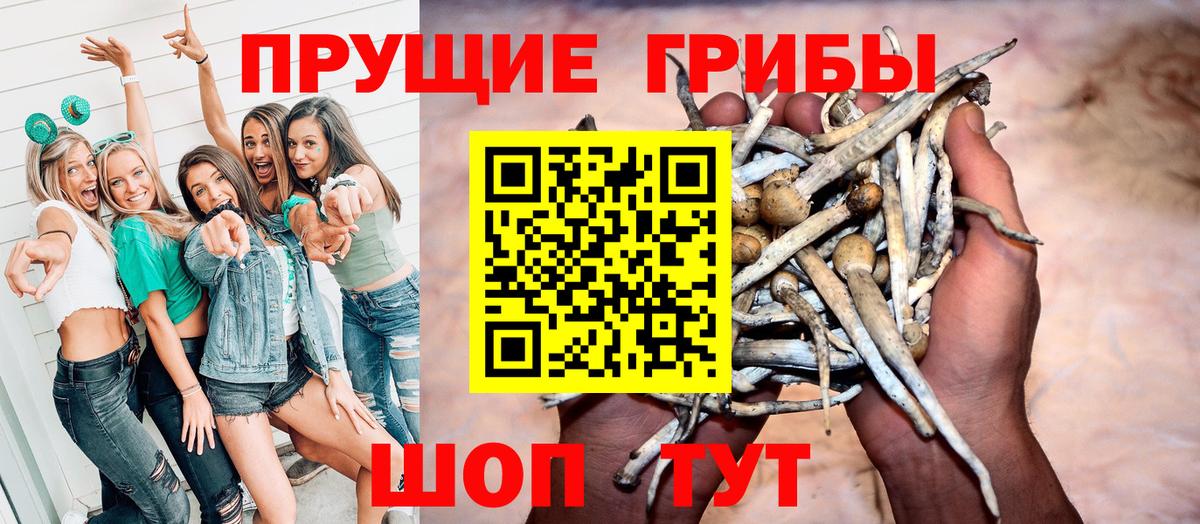 Костомукша  Галлюциногенные грибы MAGIC MUSHROOMS  наркотики  Галлюциногенные грибы мухоморы  Вход с VPN 