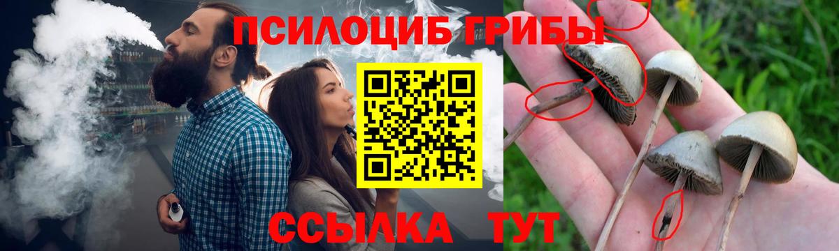 Галлюциногенные грибы Psilocybine cubensis Костомукша